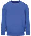 04239 Columbia kids SOL'S Kids Columbia Sweatshirt Blue colour image